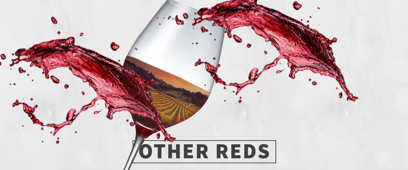 Picture for category Other Reds