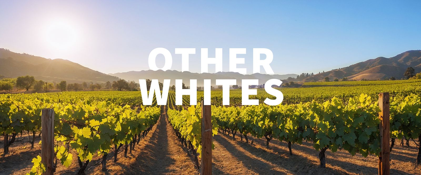 Picture for category Other Whites