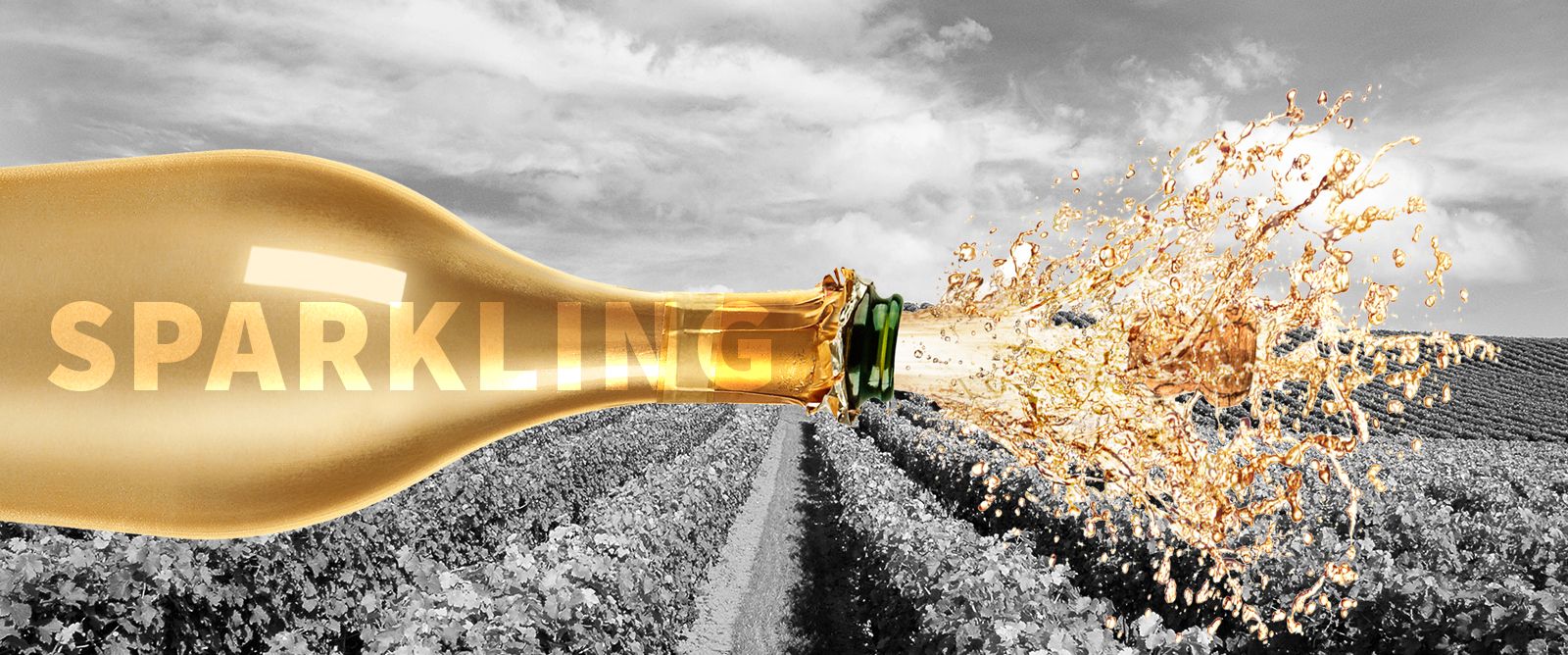 Picture for category Sparkling