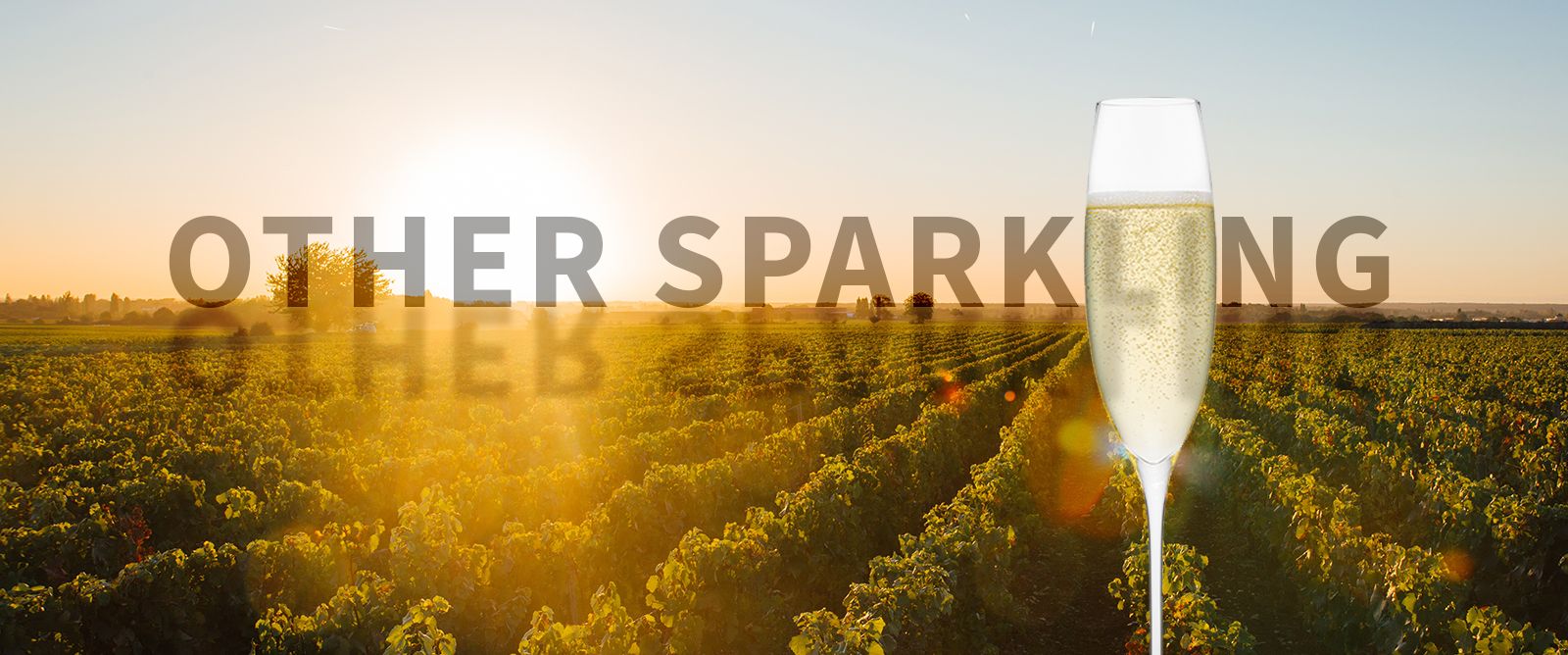 Picture for category Other Sparkling