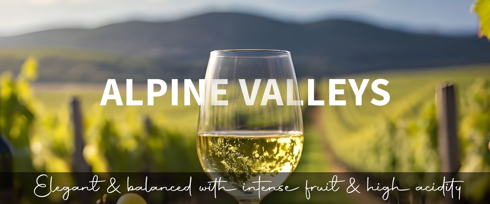 Picture for category Alpine Valleys