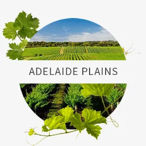 Picture of Adelaide Plains