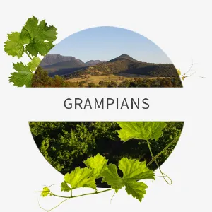 Picture of The Grampians