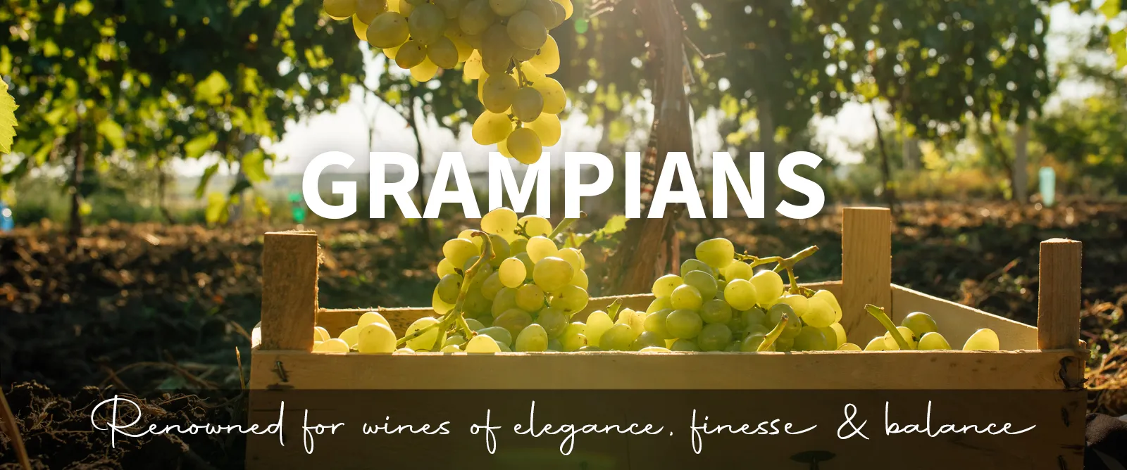 Picture for category The Grampians