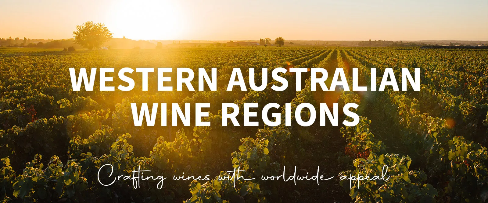 Picture for category WA Wine Regions