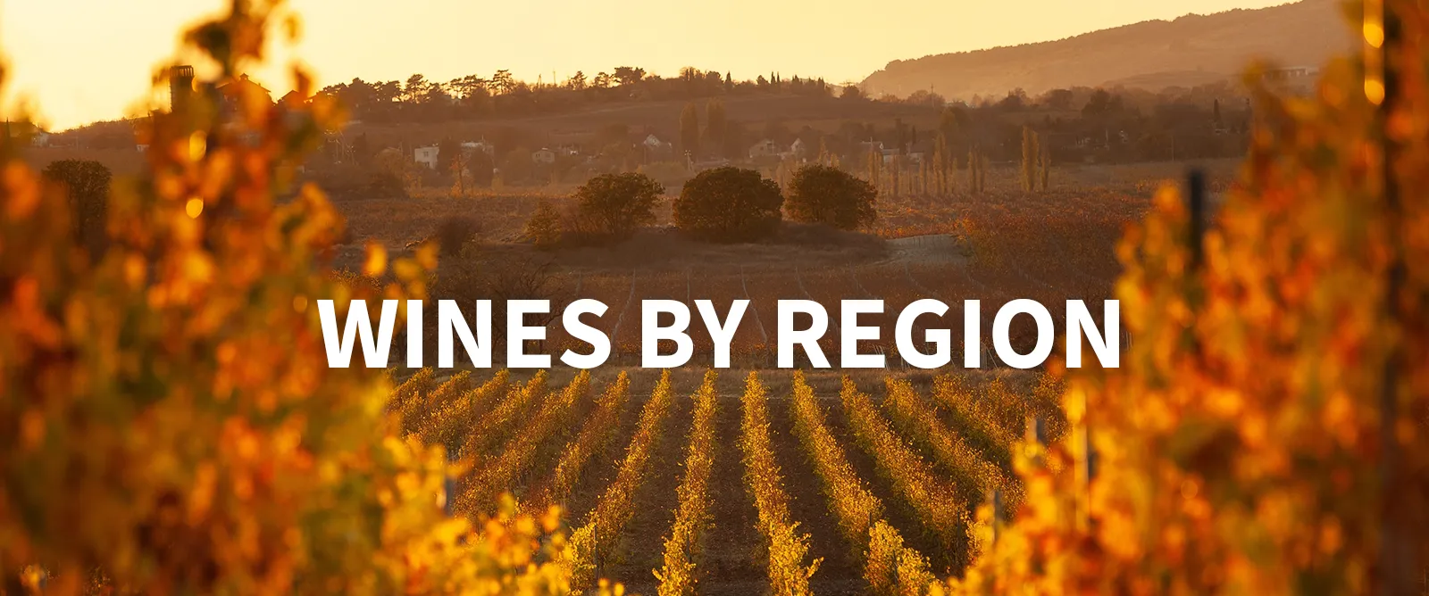 Picture for category Wines by Region