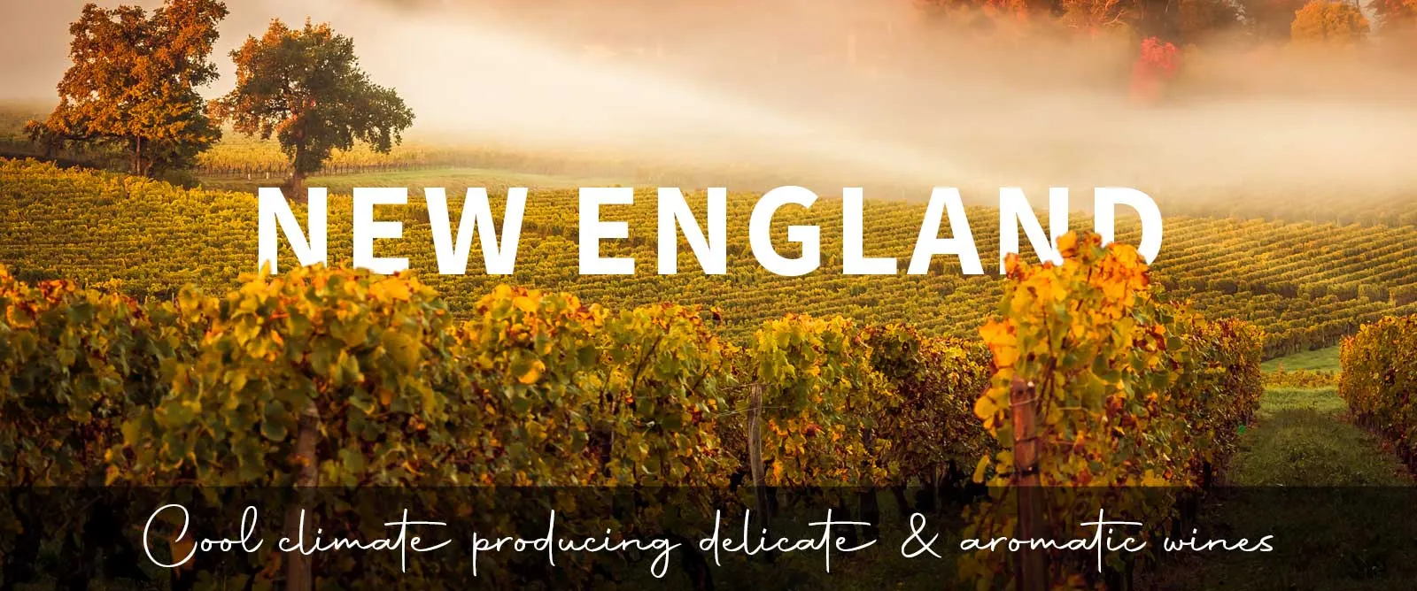 Picture for category New England