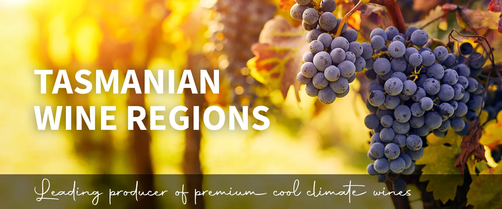 Picture for category Tasmania